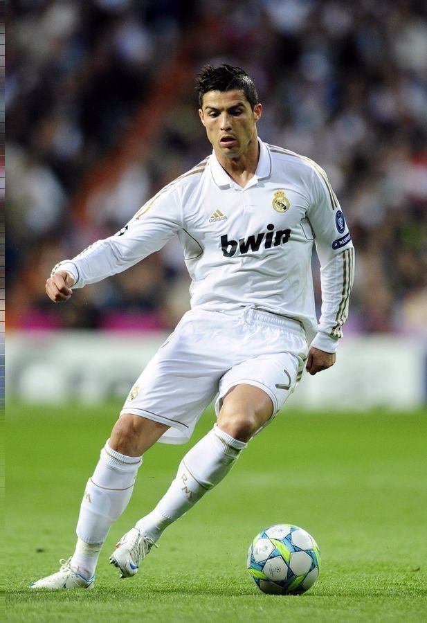 职业生涯的 职业生涯的